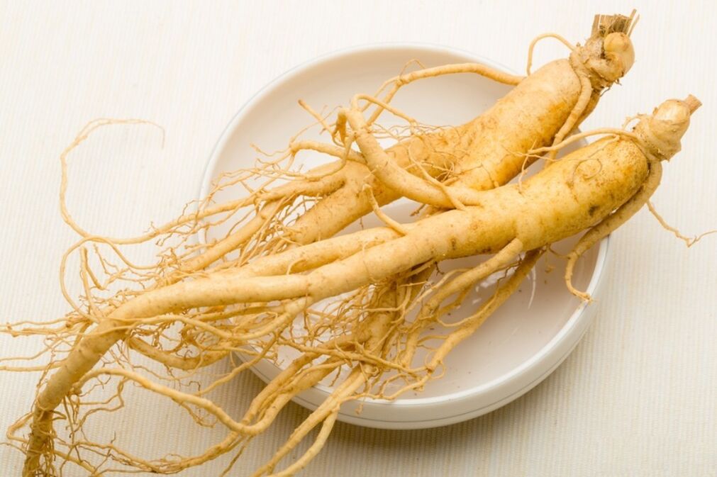 Ang ugat ng ginseng ay ang batayan ng isang tincture na nagpapalaki sa ari ng lalaki